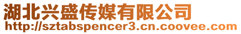 湖北興盛傳媒有限公司