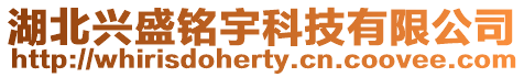 湖北興盛銘宇科技有限公司