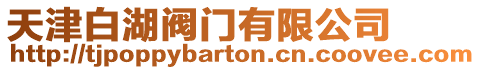 天津白湖閥門有限公司