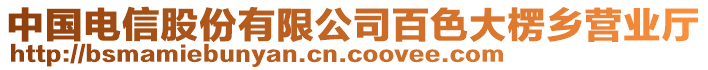 中國電信股份有限公司百色大楞鄉營業廳