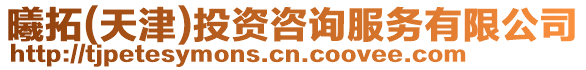 曦拓(天津)投資咨詢服務有限公司