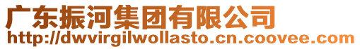 廣東振河集團(tuán)有限公司