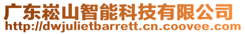 廣東崧山智能科技有限公司