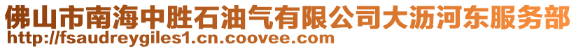 佛山市南海中勝石油氣有限公司大瀝河東服務部