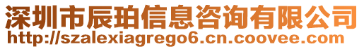 深圳市辰珀信息咨詢有限公司