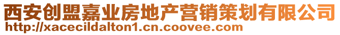 西安創(chuàng)盟嘉業(yè)房地產(chǎn)營銷策劃有限公司