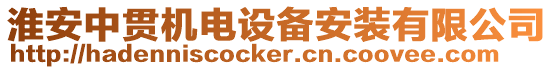 淮安中貫機電設備安裝有限公司