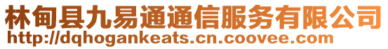 林甸縣九易通通信服務(wù)有限公司