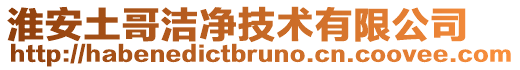 淮安土哥潔凈技術有限公司
