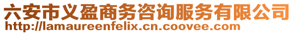 六安市義盈商務咨詢服務有限公司