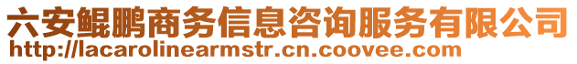 六安鯤鵬商務(wù)信息咨詢服務(wù)有限公司