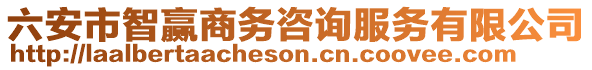 六安市智贏商務咨詢服務有限公司