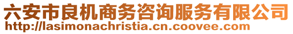 六安市良機商務咨詢服務有限公司
