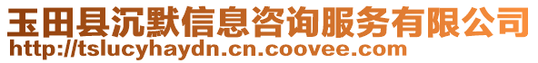 玉田縣沉默信息咨詢(xún)服務(wù)有限公司