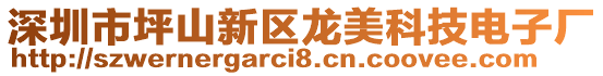 深圳市坪山新區龍美科技電子廠