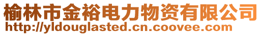 榆林市金裕電力物資有限公司