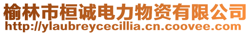 榆林市桓誠電力物資有限公司