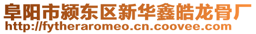 阜陽市潁東區新華鑫皓龍骨廠