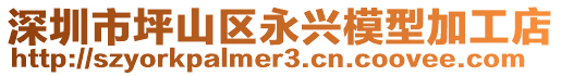 深圳市坪山區(qū)永興模型加工店