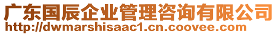 廣東國辰企業管理咨詢有限公司