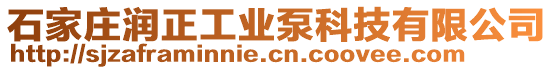 石家莊潤正工業(yè)泵科技有限公司