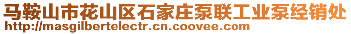 馬鞍山市花山區(qū)石家莊泵聯(lián)工業(yè)泵經(jīng)銷(xiāo)處