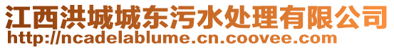 江西洪城城東污水處理有限公司