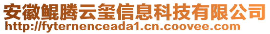 安徽鯤騰云璽信息科技有限公司