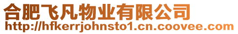 合肥飛凡物業有限公司