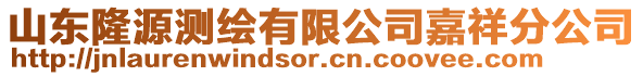 山東隆源測繪有限公司嘉祥分公司