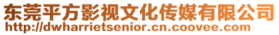 東莞平方影視文化傳媒有限公司