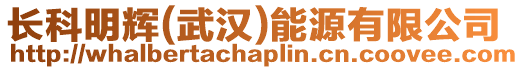 長科明輝(武漢)能源有限公司