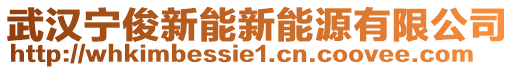 武漢寧俊新能新能源有限公司