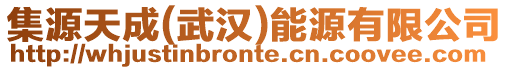 集源天成(武漢)能源有限公司