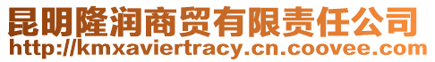 昆明隆潤商貿有限責任公司