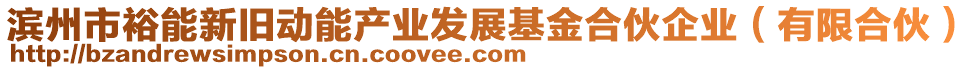 濱州市裕能新舊動能產(chǎn)業(yè)發(fā)展基金合伙企業(yè)（有限合伙）