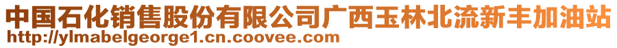 中國石化銷售股份有限公司廣西玉林北流新豐加油站