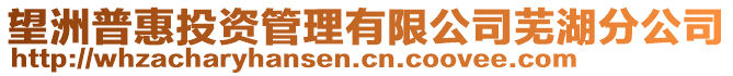 望洲普惠投資管理有限公司蕪湖分公司