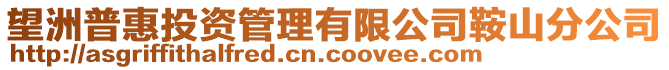 望洲普惠投資管理有限公司鞍山分公司