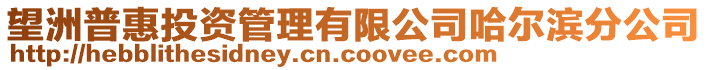 望洲普惠投資管理有限公司哈爾濱分公司