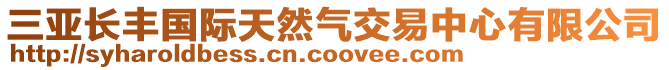 三亞長豐國際天然氣交易中心有限公司