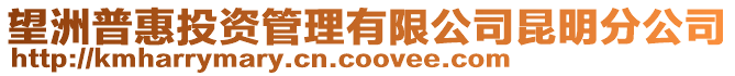 望洲普惠投資管理有限公司昆明分公司