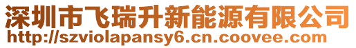 深圳市飛瑞升新能源有限公司