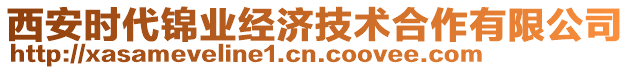 西安時代錦業經濟技術合作有限公司