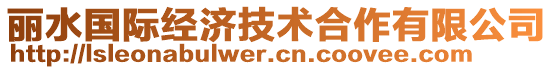 麗水國際經(jīng)濟(jì)技術(shù)合作有限公司