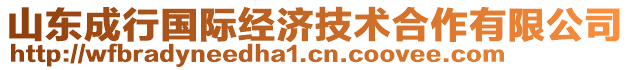 山東成行國際經濟技術合作有限公司