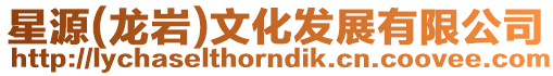 星源(龍巖)文化發展有限公司