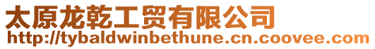 太原龍乾工貿有限公司