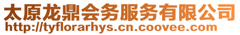 太原龍鼎會務服務有限公司