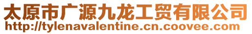 太原市廣源九龍工貿有限公司